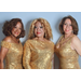 THE THREE DEGREES